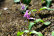image0135
