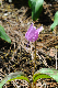 image0136