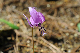 image0137