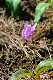 image0138