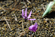 image0139