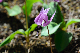 image0140