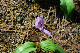 image0141