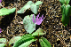image0142