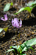 image0144