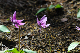 image0145