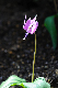 image0146