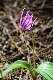 image0147