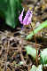 image0148