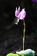 image0149