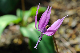 image0150
