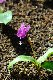 image0152