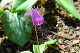 image0153