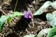image0154