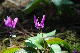 image0155