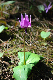 image0156