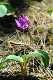 image0157