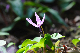 image0158