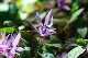 image0160