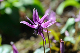 image0161