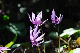image0162