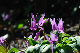 image0163