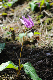 image0164