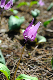 image0165