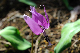 image0166