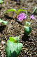 image0167