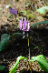 image0168