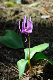 image0169