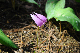 image0170