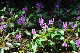 image0171