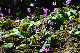 image0172