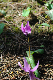 image0173