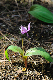 image0174