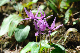 image0175