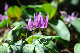 image0176