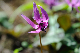 image0177
