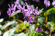 image0178