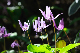 image0179