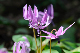 image0180