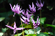 image0181