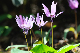 image0182