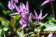image0183
