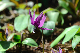 image0184