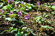 image0186