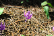 image0187