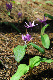 image0188